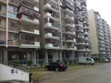 大儒世家花园 3室1厅 东南