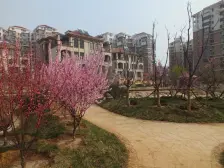 婚房装修100w+,不计面积2层和3层露台,可住三代人