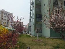 绿色家园 1室1厅 北