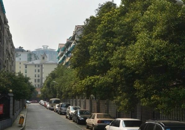 小区相关图