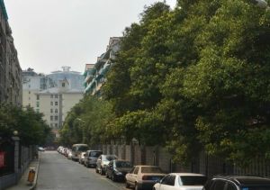 西南明苑4室1厅南北