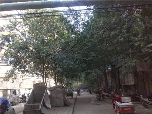 联盟路科大家属院中间楼层双气入户诚心出售随时看