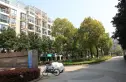 常青花园十四小区实景图