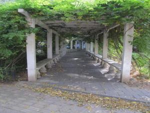 竹园4室1厅南北东