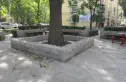 马连洼竹园实景图