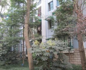 怡和茗居3室1厅东北