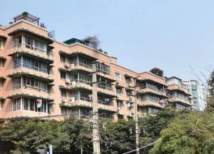 梓桐苑2室1厅东南