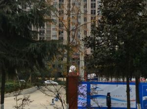 鸿阁新座2室2厅西