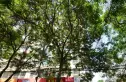 药检所家属院实景图