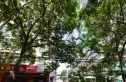 药检所家属院实景图