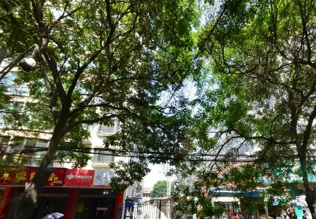 药检所家属院实景图
