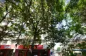 药检所家属院实景图