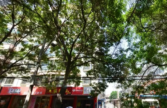 药检所家属院实景图