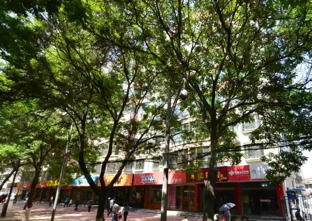 药检所家属院实景图
