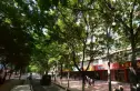 药检所家属院实景图