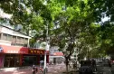 药检所家属院实景图