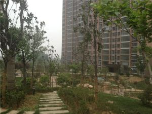 君合园4房中间楼栋前后观景采光好诚售