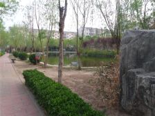 新飛花園 6室2厅 南 北