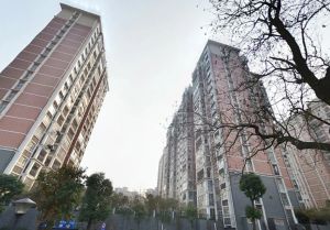 芙蓉区小区环境舒适清水毛坯中间楼层