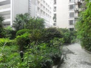 新少城 3室2厅 东南