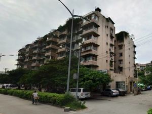 金桔花园一期2室2厅南