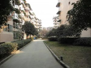金桔花园一期3室2厅东南