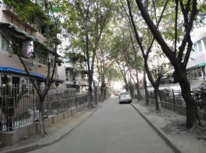 金桔花园一期3室2厅南
