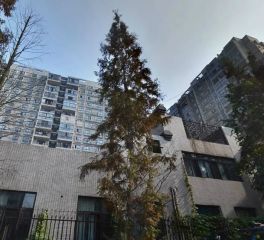 诚品上院2室2厅南
