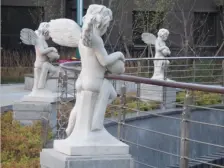 琥珀城 1室1厅 南