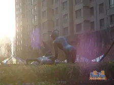 琥珀城 1室1厅 南