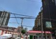 银杏之家实景图
