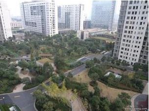 庆安小区实景图