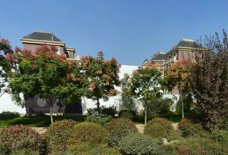 云龙湖悦府实景图