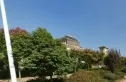 云龙湖悦府实景图
