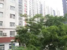 南北通透大三房,生活配套齐全。