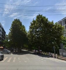 柳城印象2室2厅东南