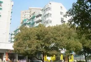 位置好楼层佳南北通风采光无遮挡诚心出售