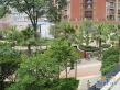 新阳光花园实景图