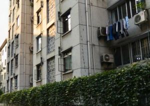 人民南路四段9号院2室1厅南