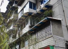 树蓓巷1号 2室1厅 南 北