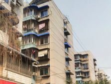 树蓓巷1号 1室2厅 东北