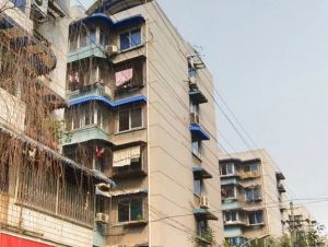 树蓓巷1号2室1厅东南