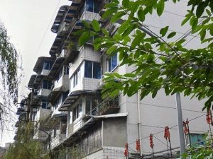 树蓓巷1号2室1厅南北