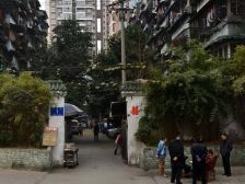 树蓓巷1号 1室1厅 东