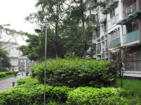 小区相关图