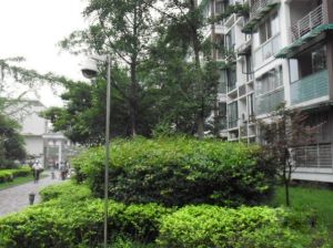 加国枫韵2室2厅南