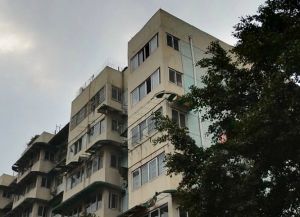 圃园路8号3室2厅南