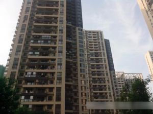 装修完好,户型方正,视野开阔