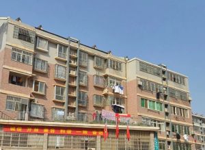 三0一佳园3室2厅南