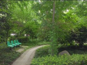 人民中路二段51号1室1厅西南